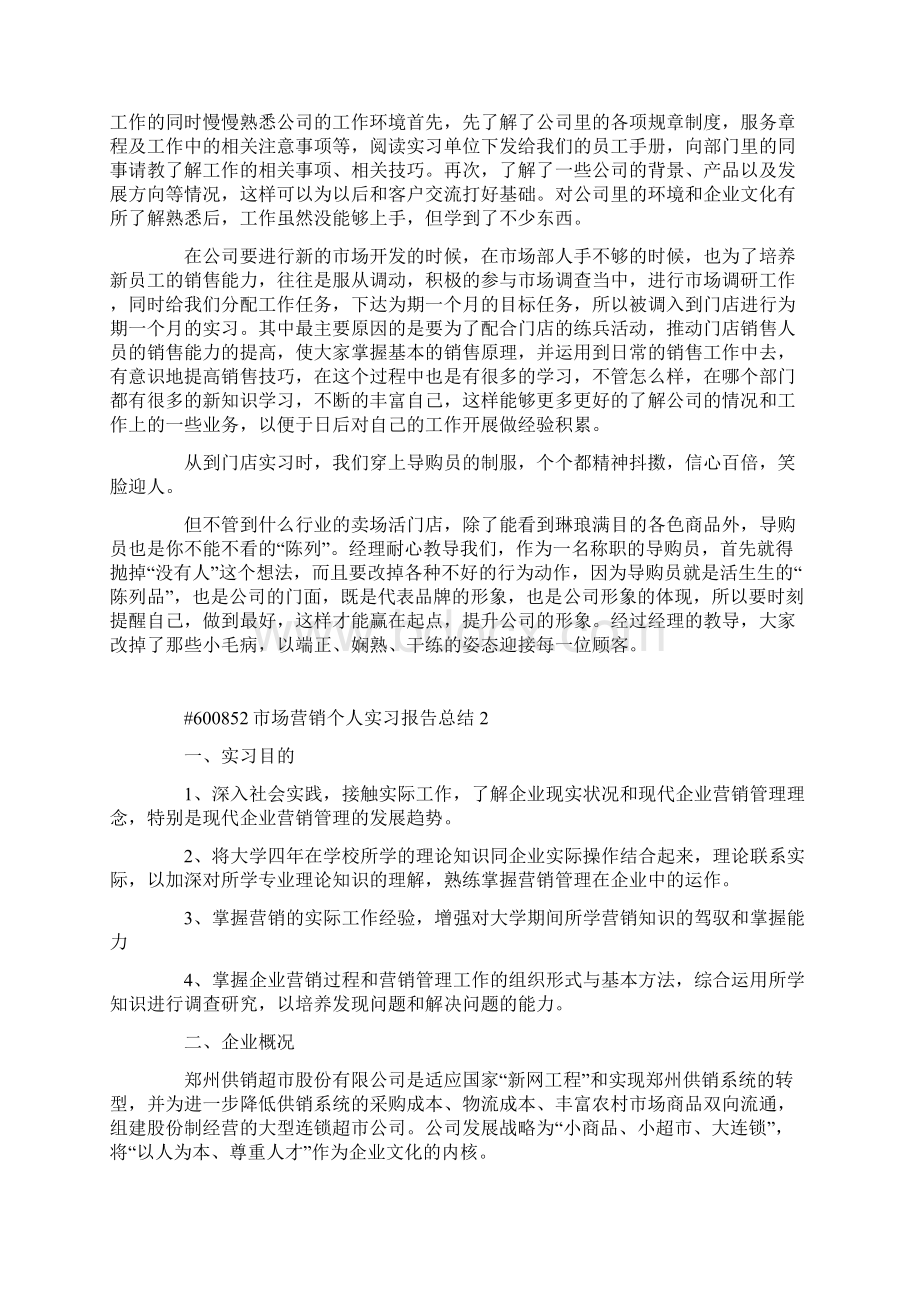 市场营销个人实习报告总结.docx_第2页