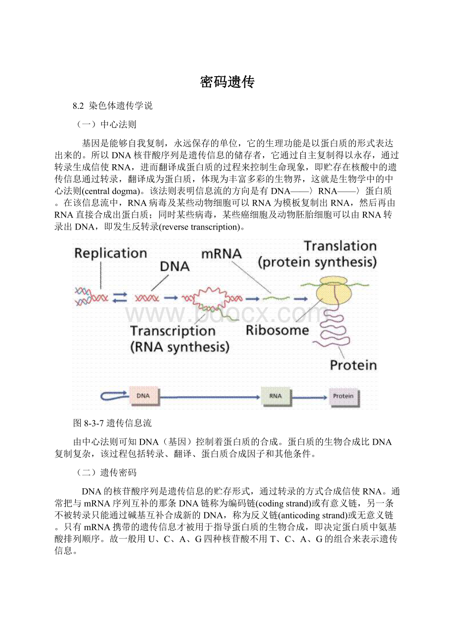 密码遗传Word文档格式.docx