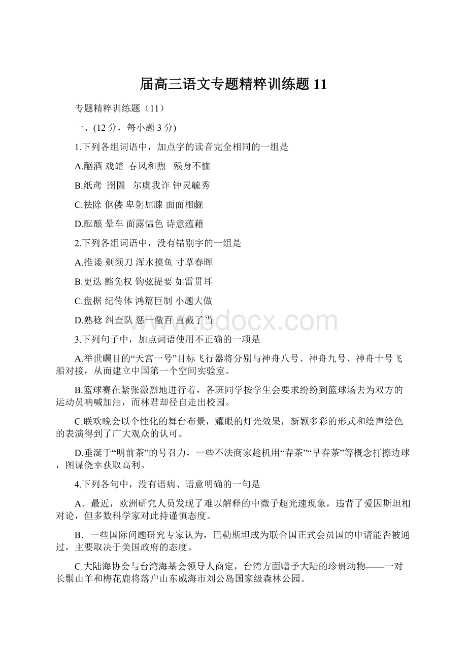 届高三语文专题精粹训练题11Word文件下载.docx