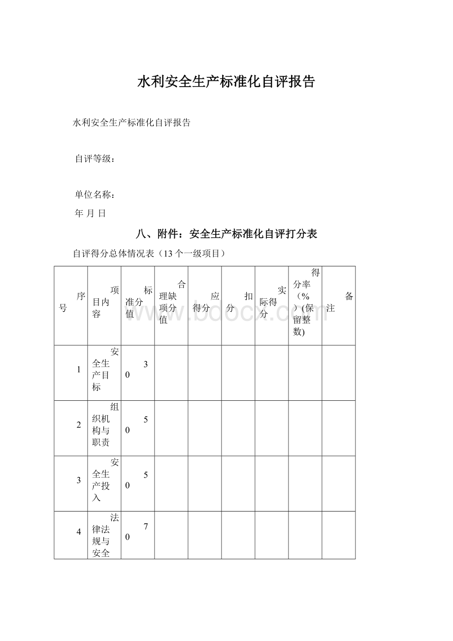 水利安全生产标准化自评报告.docx_第1页