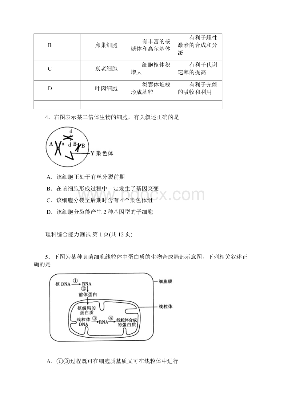 届福建省厦门市高三适应性考试理综试题Word下载.docx_第2页