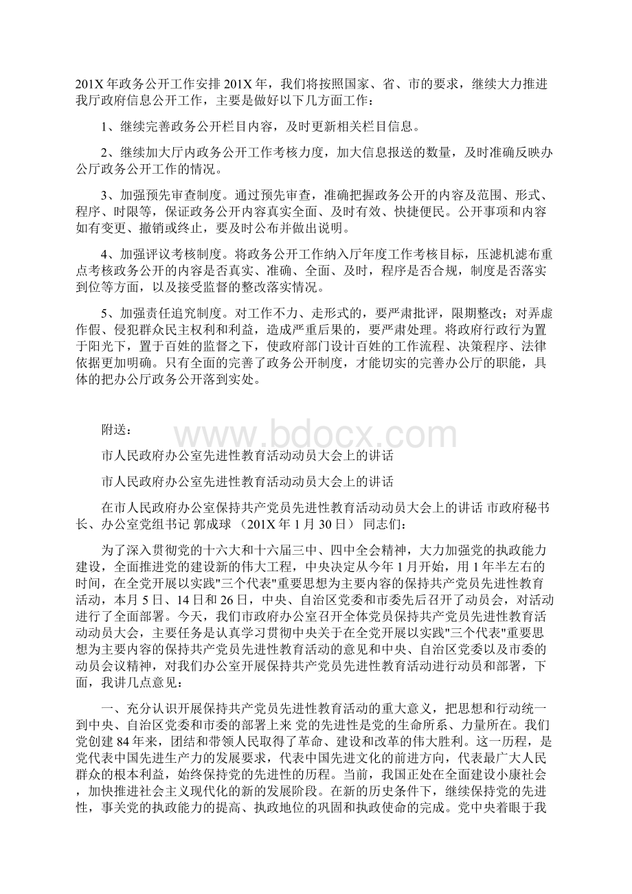 市人民政府办公厅年度政务公开工作报告Word格式文档下载.docx_第2页