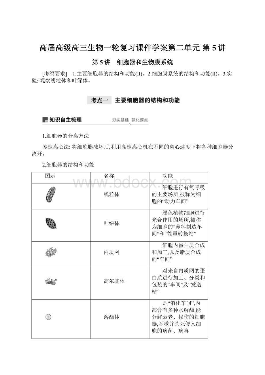 高届高级高三生物一轮复习课件学案第二单元 第5讲.docx