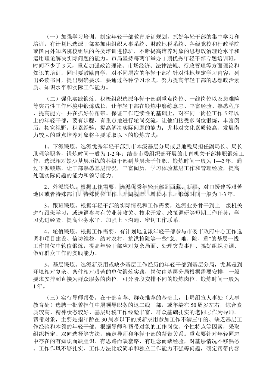 关于进一步加强年轻干部培养管理的实施办法.docx_第2页