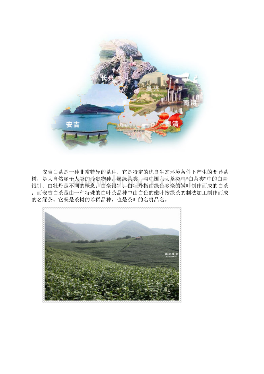 中国茶文化模板.docx_第2页