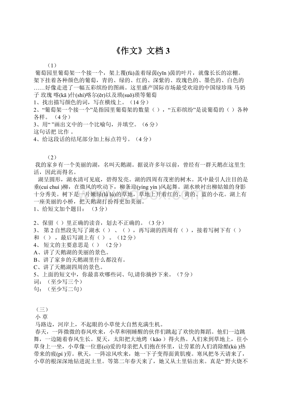 《作文》文档3.docx