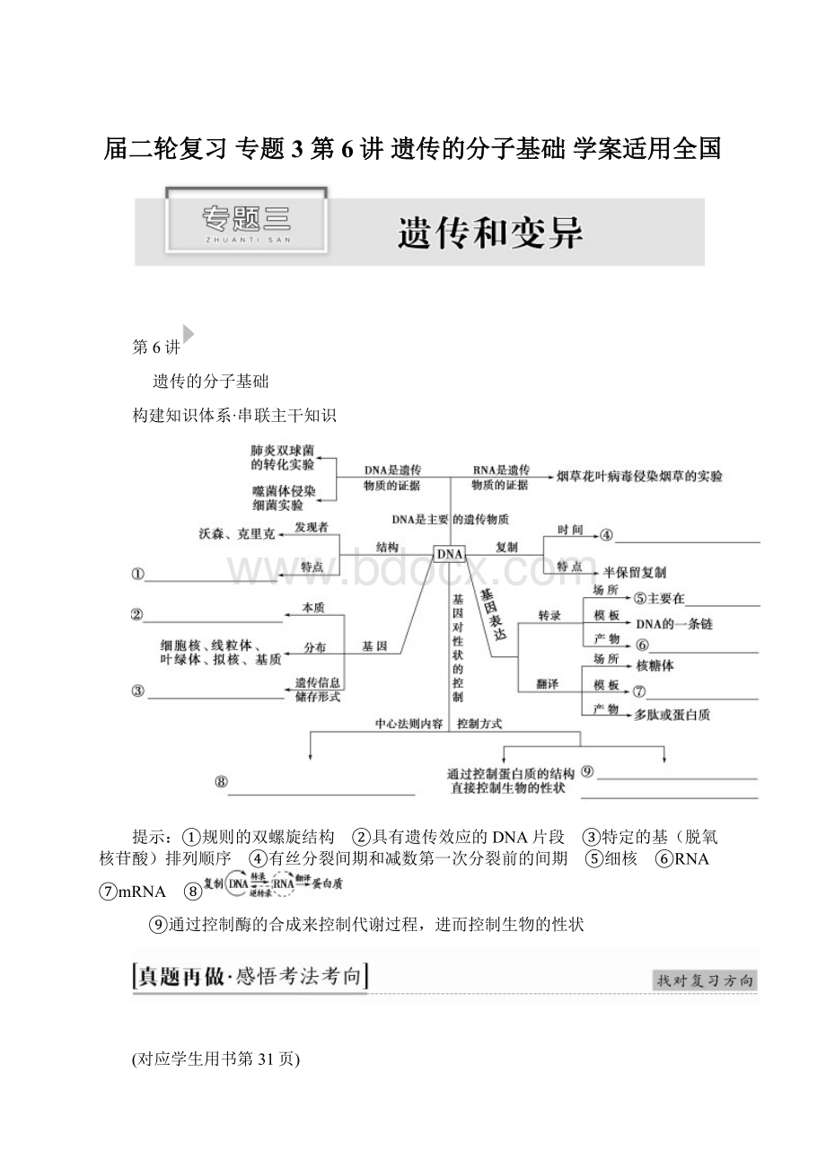 届二轮复习 专题3 第6讲 遗传的分子基础 学案适用全国.docx_第1页