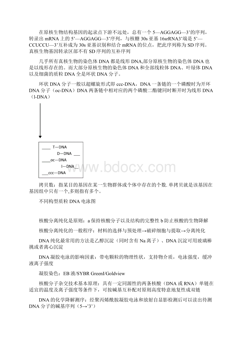 09级基因工程期末复习材料6Word文档下载推荐.docx_第2页