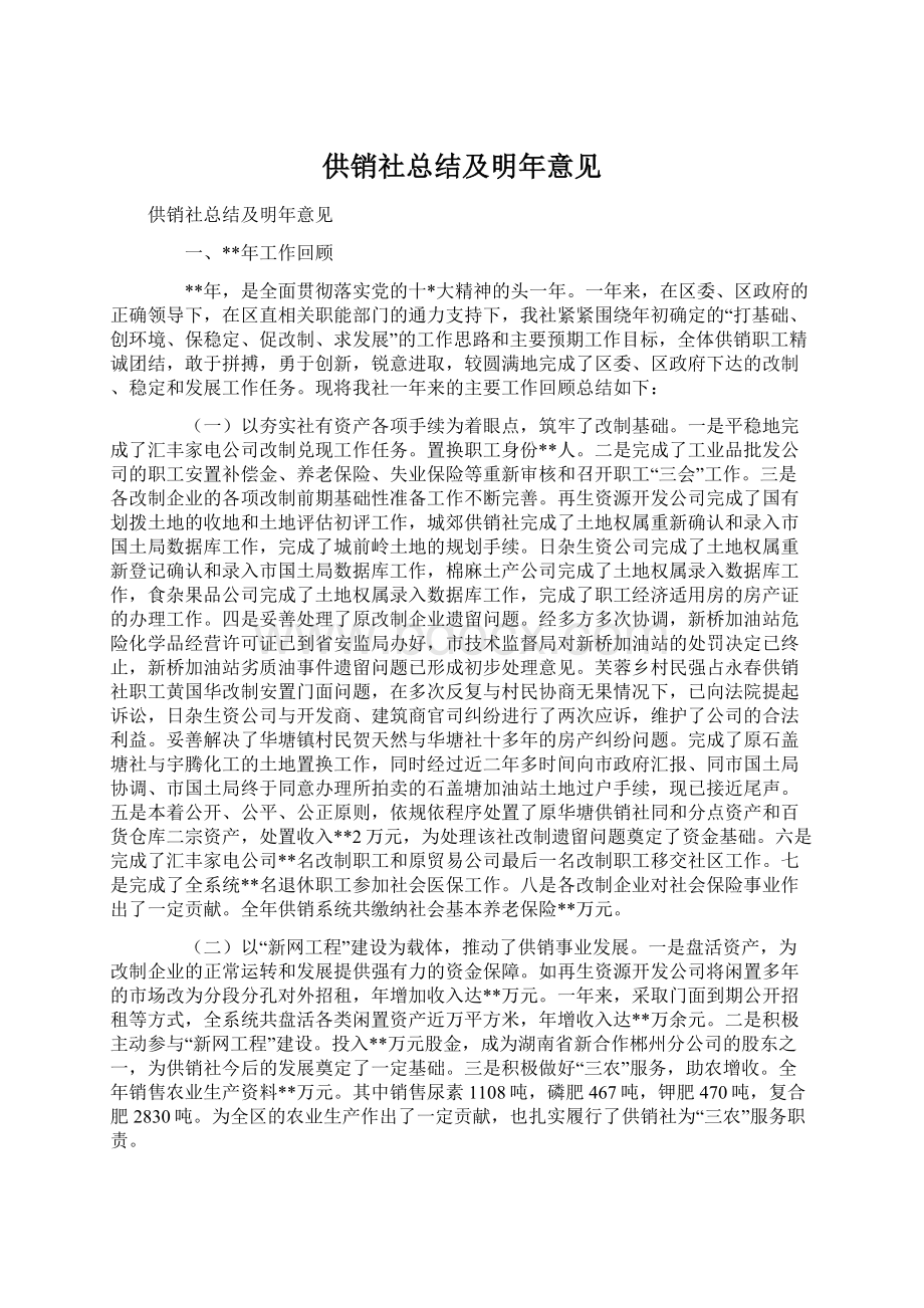 供销社总结及明年意见Word文档下载推荐.docx_第1页