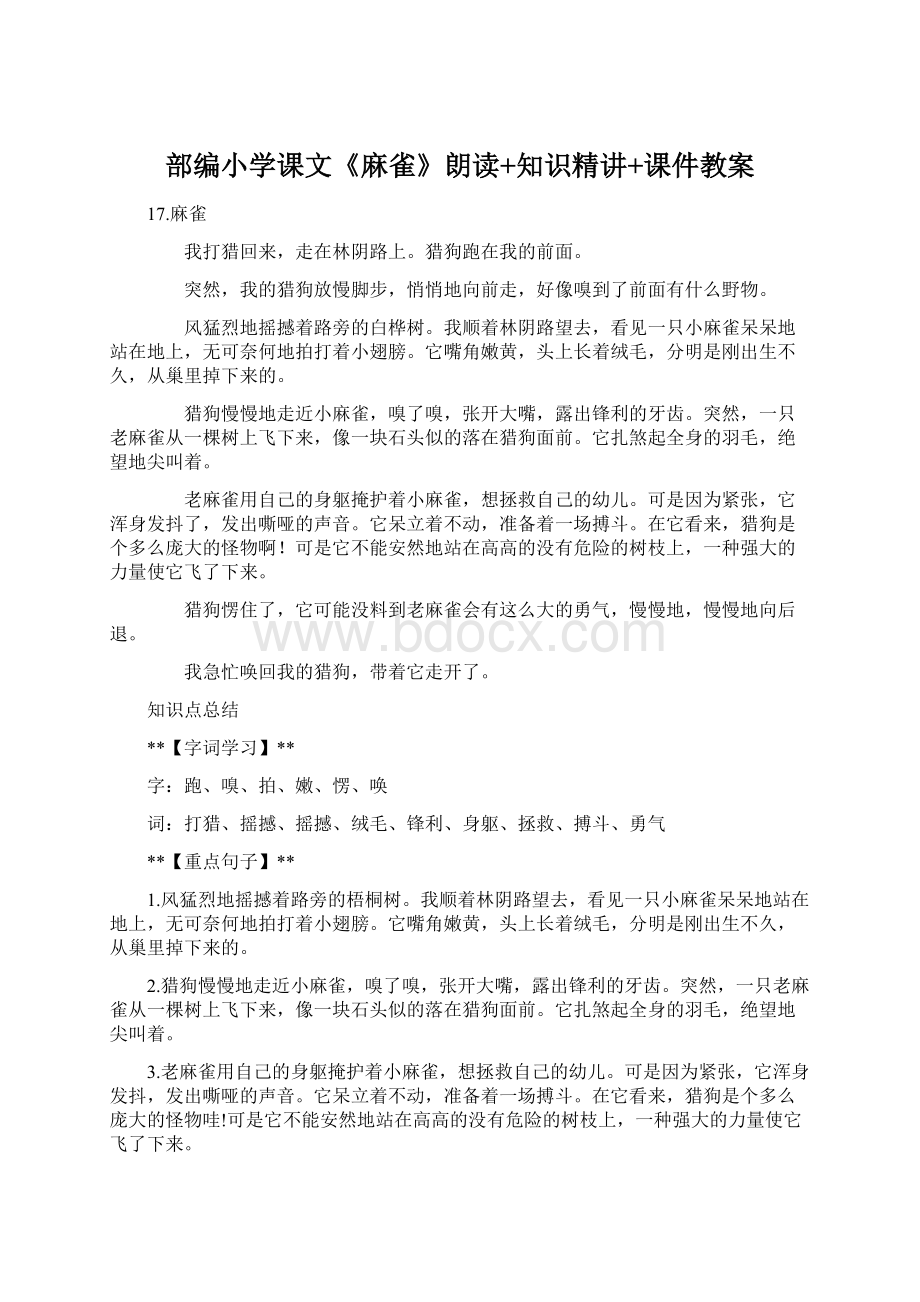 部编小学课文《麻雀》朗读+知识精讲+课件教案Word格式文档下载.docx_第1页