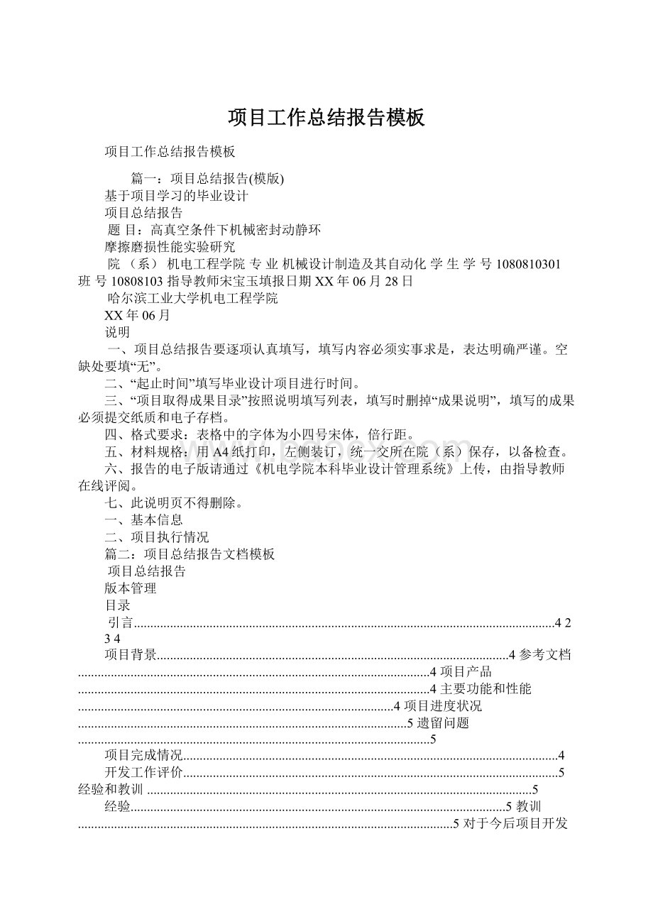 项目工作总结报告模板Word文档下载推荐.docx