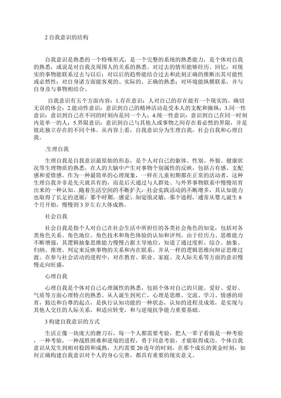 论自我意识的构建.docx_第2页