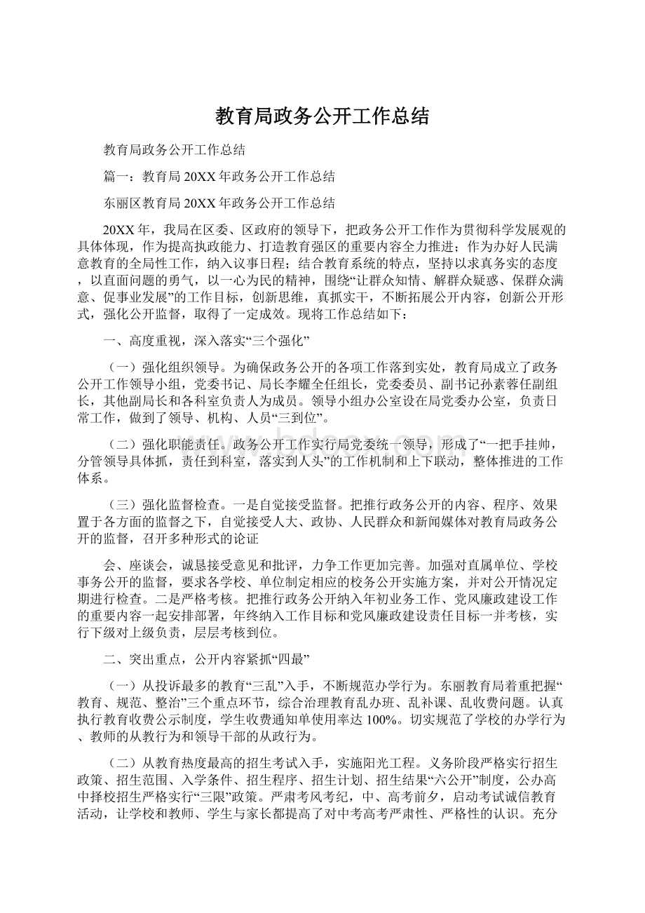 教育局政务公开工作总结Word文件下载.docx