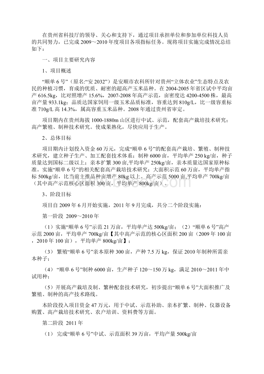 项目执行情况总结报告.docx_第2页