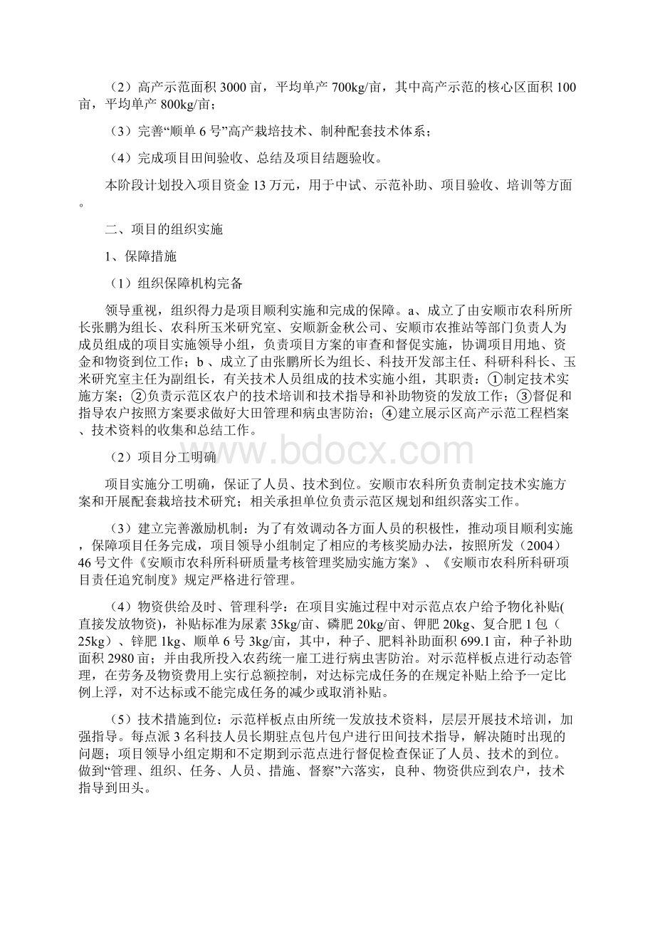 项目执行情况总结报告文档格式.docx_第3页