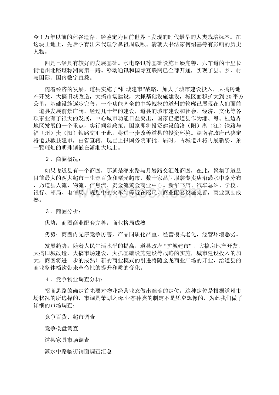 金龙商业广场商业定位规划及运营建议.docx_第2页