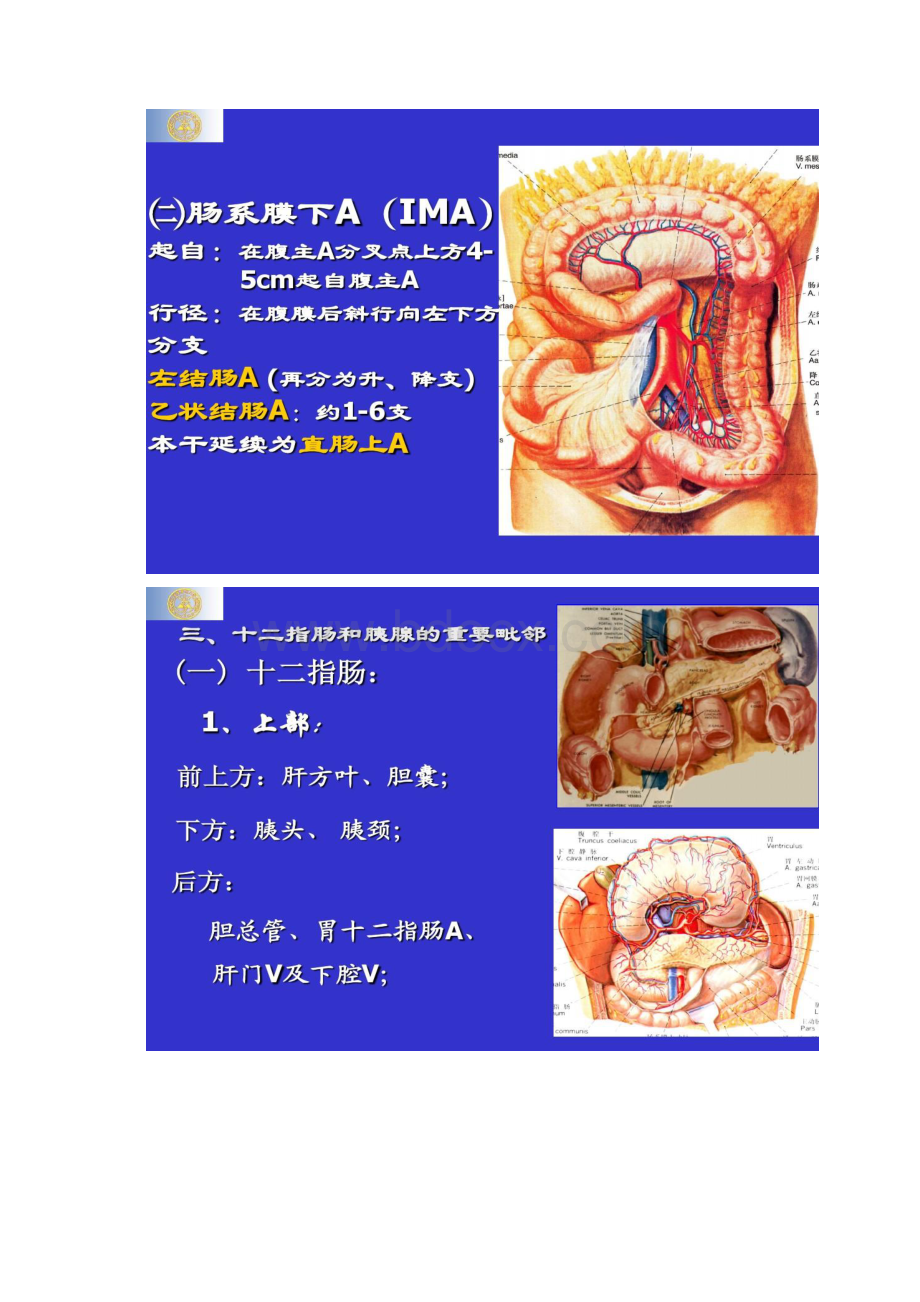 中下腹部脏器解剖汇总.docx_第3页