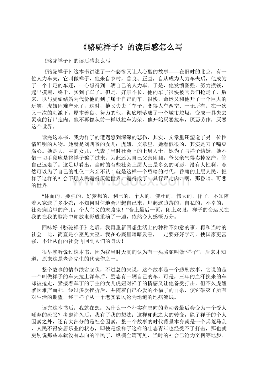 《骆驼祥子》的读后感怎么写Word文档下载推荐.docx