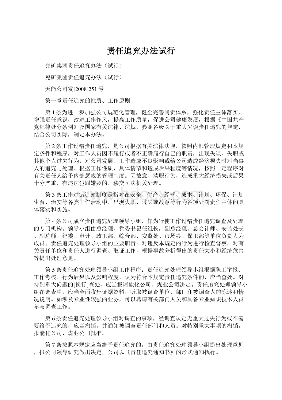 责任追究办法试行Word格式文档下载.docx