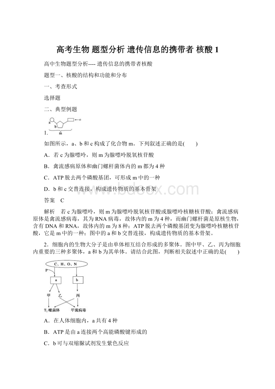 高考生物 题型分析 遗传信息的携带者 核酸1.docx