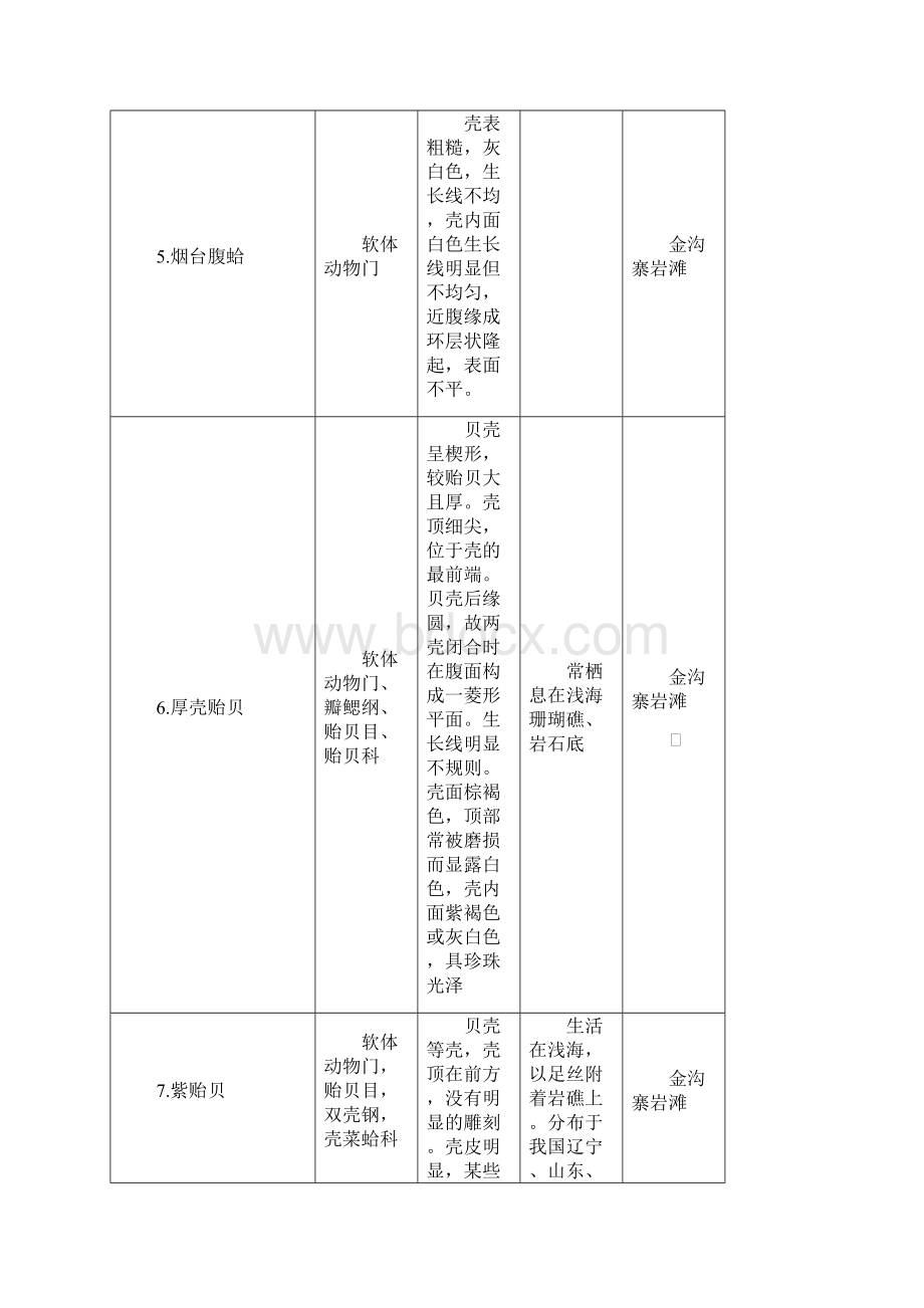 烟台海滨实习动物种类一览表.docx_第3页