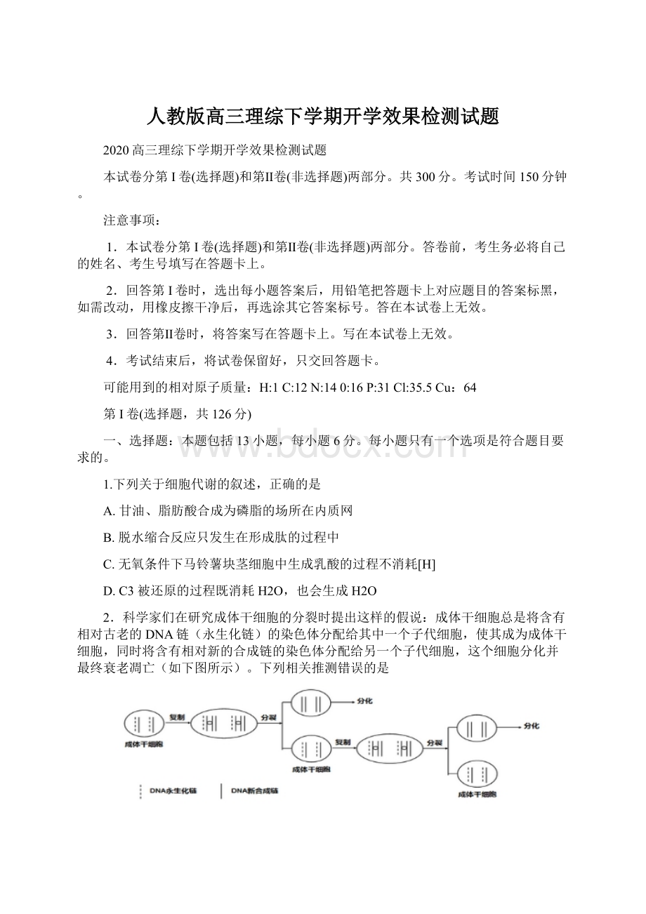 人教版高三理综下学期开学效果检测试题Word格式文档下载.docx