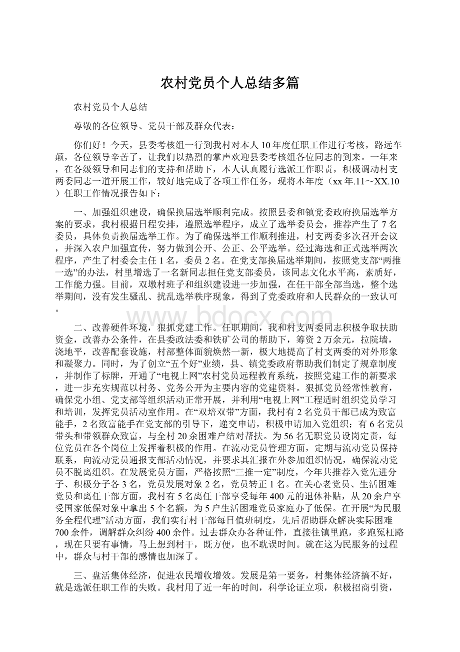 农村党员个人总结多篇Word文件下载.docx