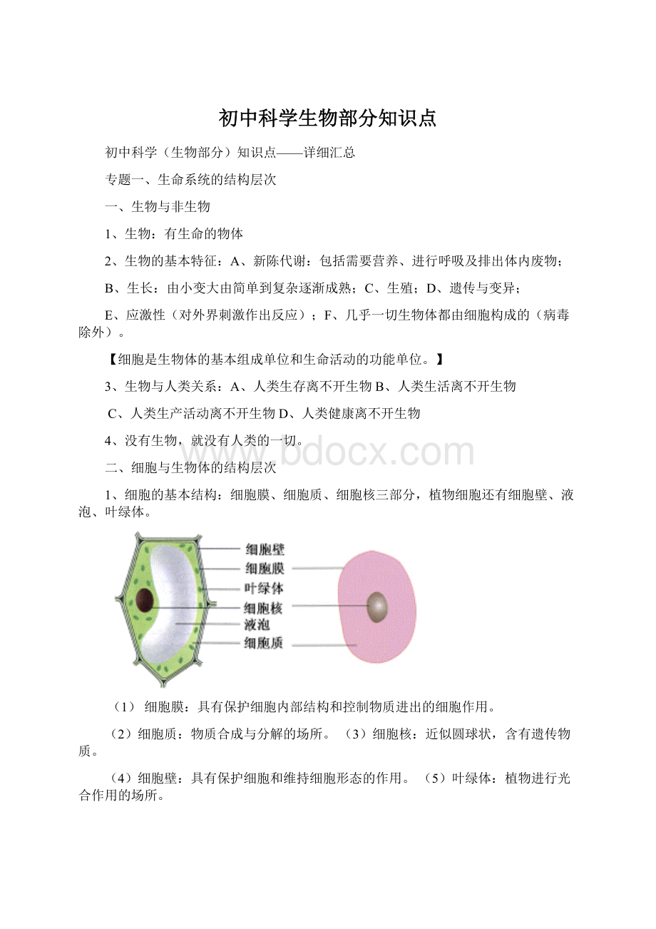 初中科学生物部分知识点Word文件下载.docx