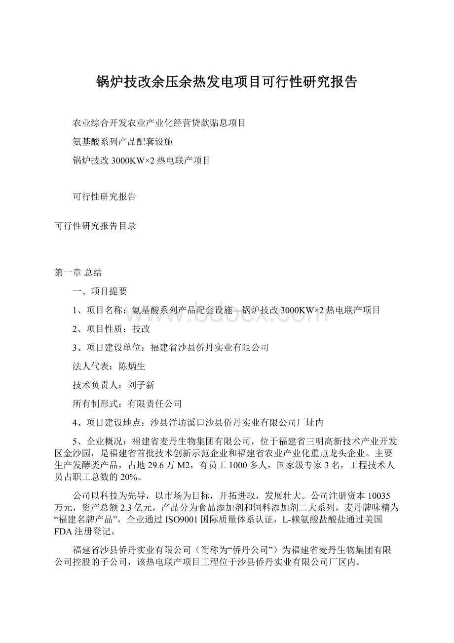 锅炉技改余压余热发电项目可行性研究报告.docx_第1页