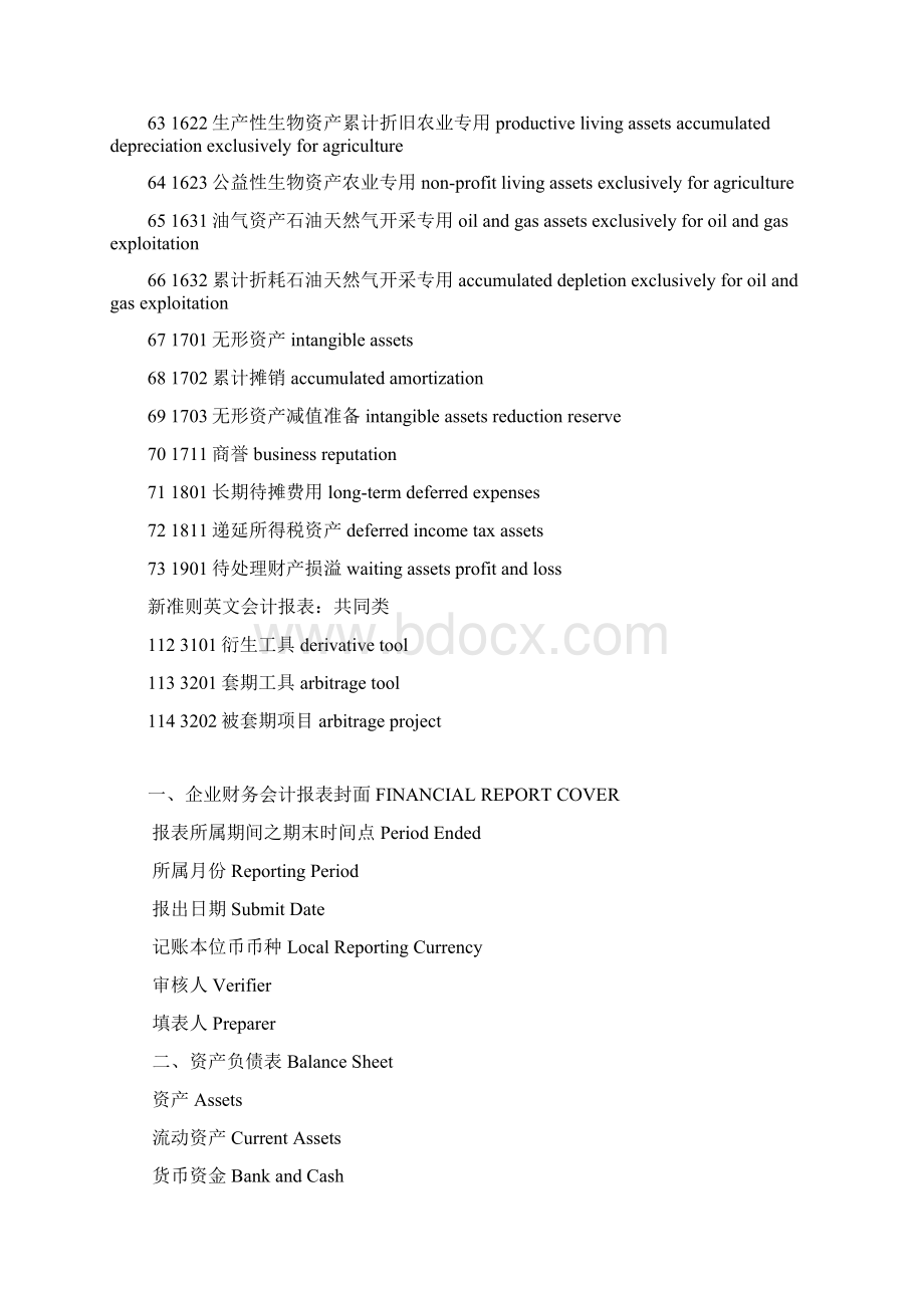 新准则英文会计报表.docx_第3页