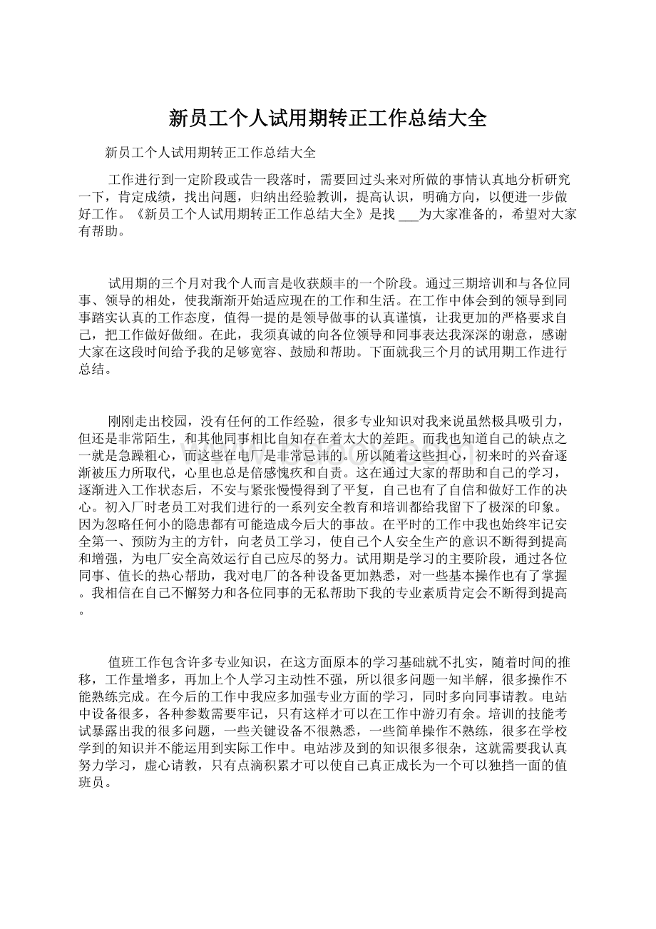 新员工个人试用期转正工作总结大全Word格式文档下载.docx