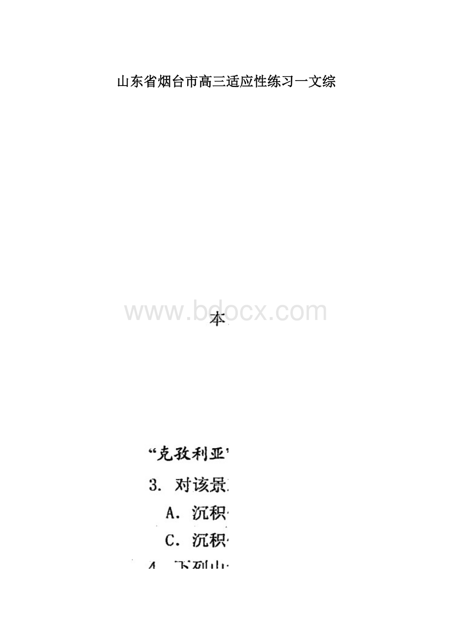 山东省烟台市高三适应性练习一文综Word格式.docx