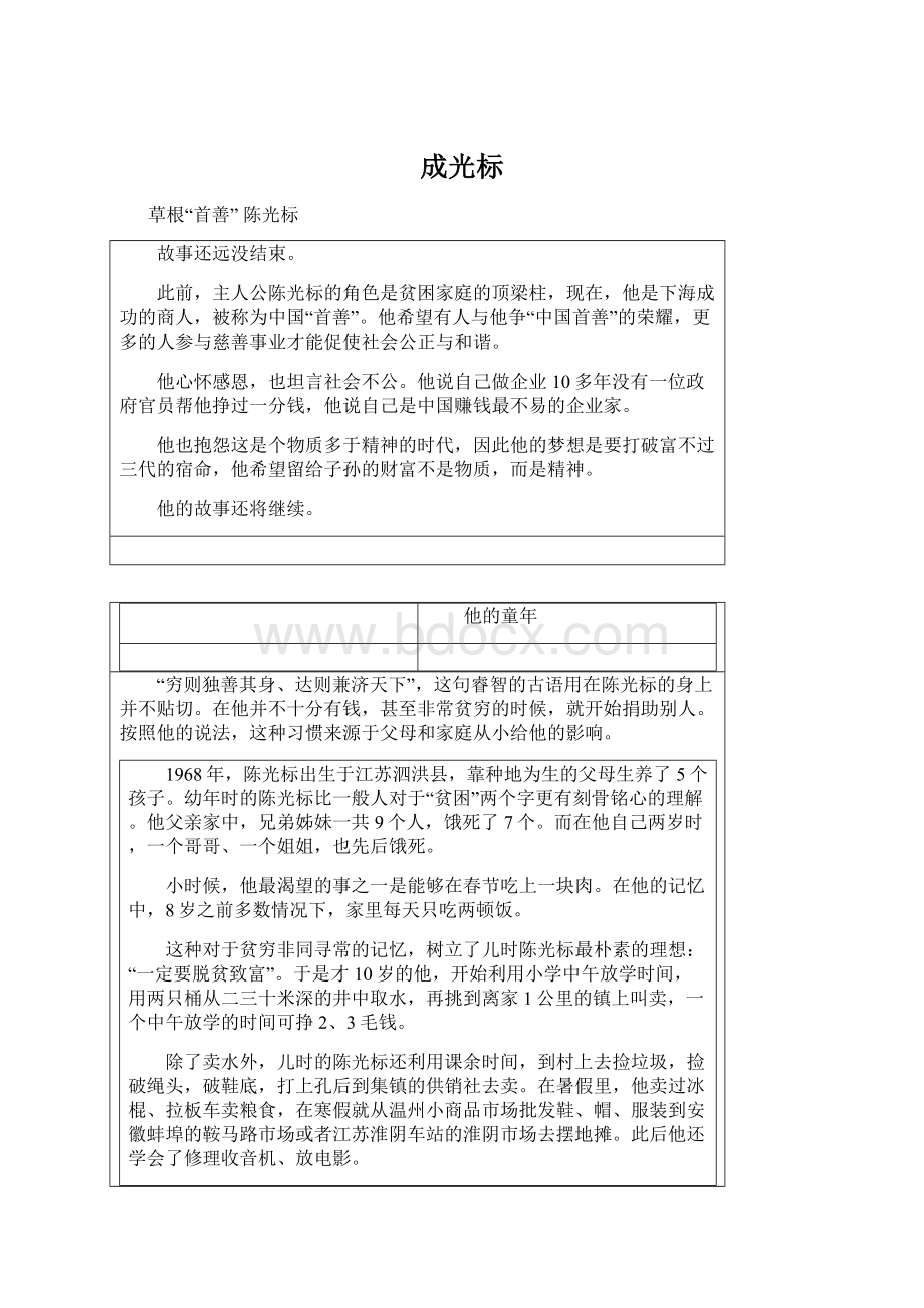 成光标Word文档格式.docx_第1页