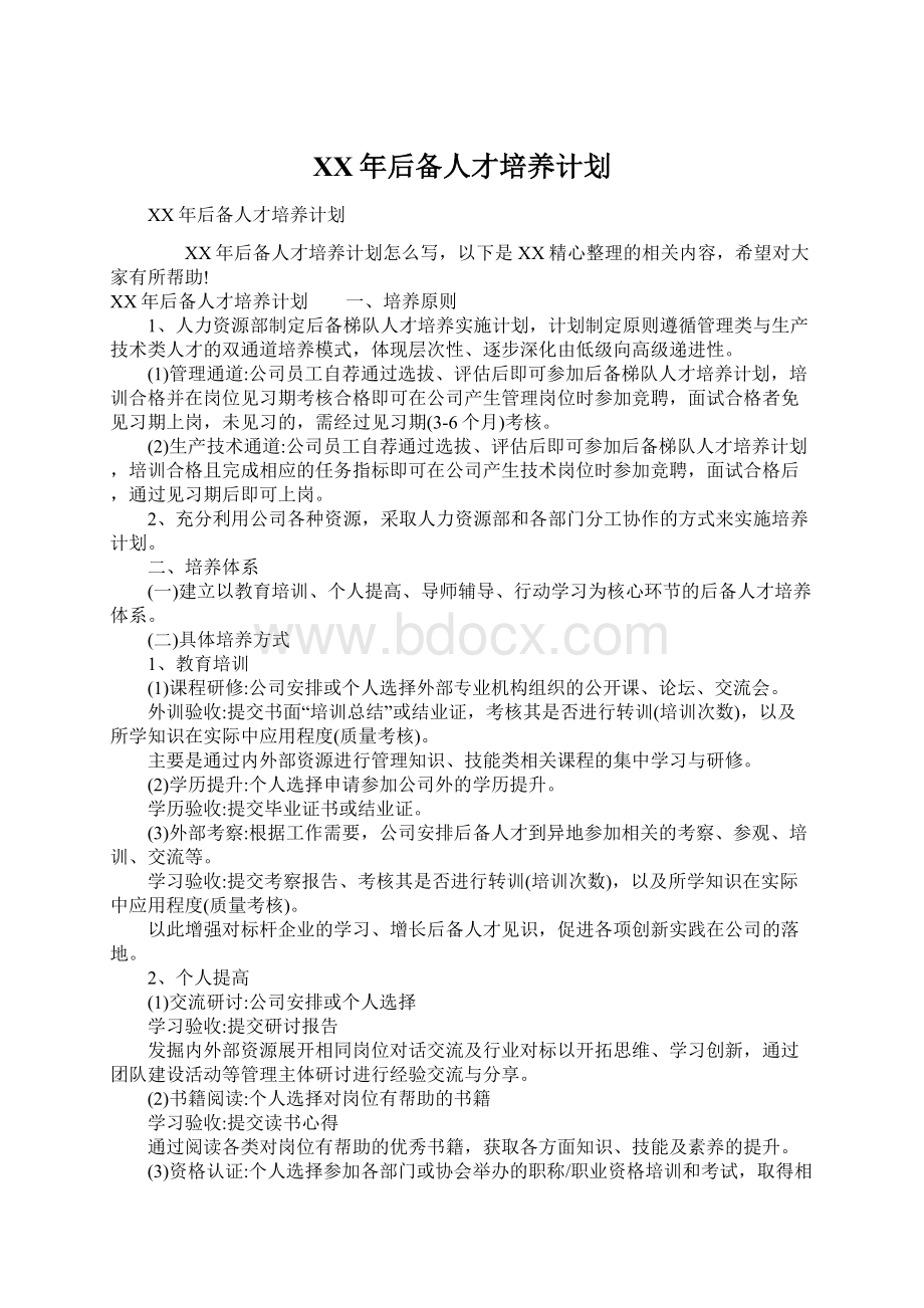 XX年后备人才培养计划Word文档格式.docx