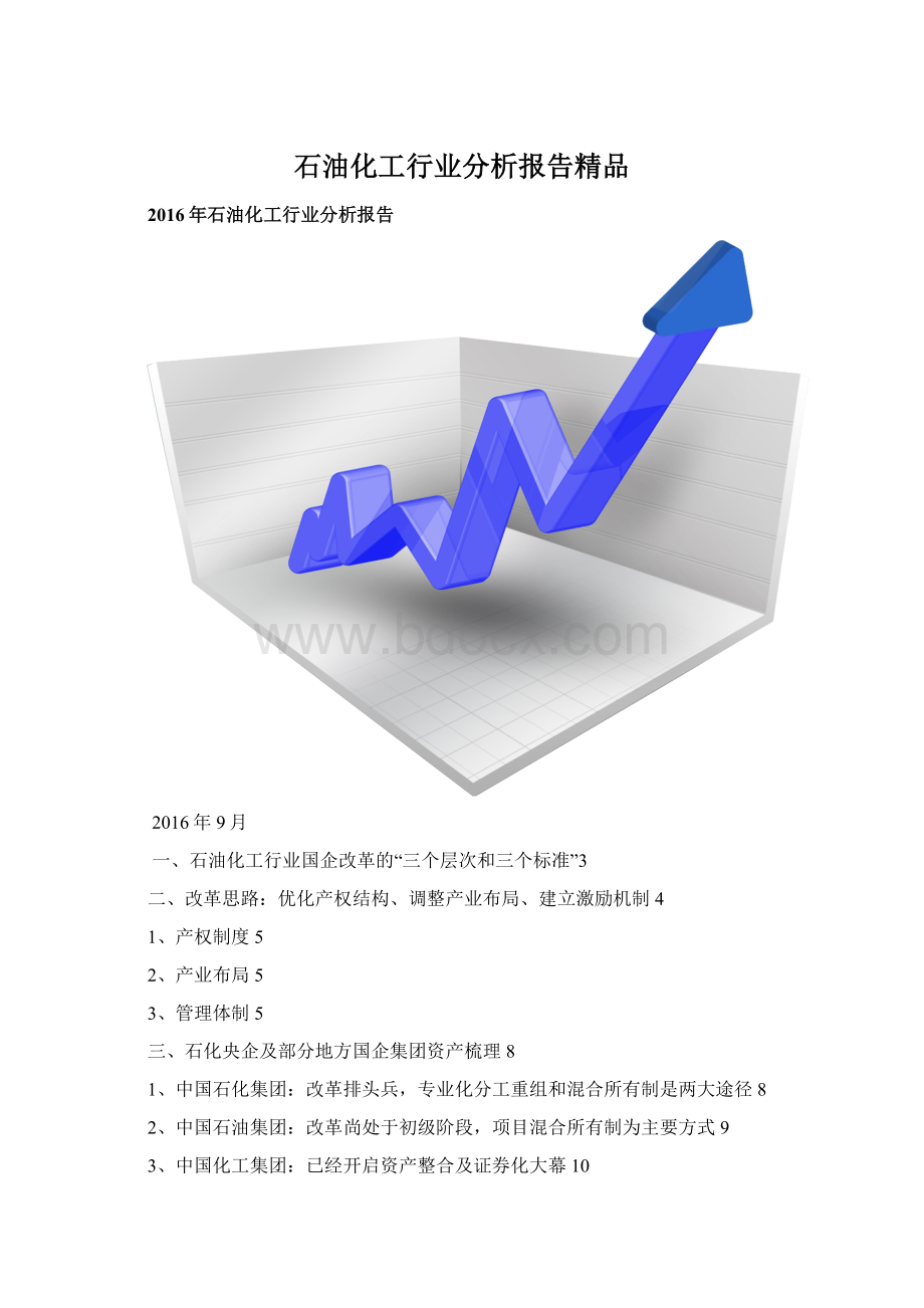 石油化工行业分析报告精品Word文档下载推荐.docx_第1页