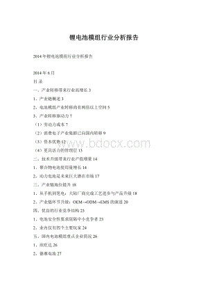 锂电池模组行业分析报告.docx