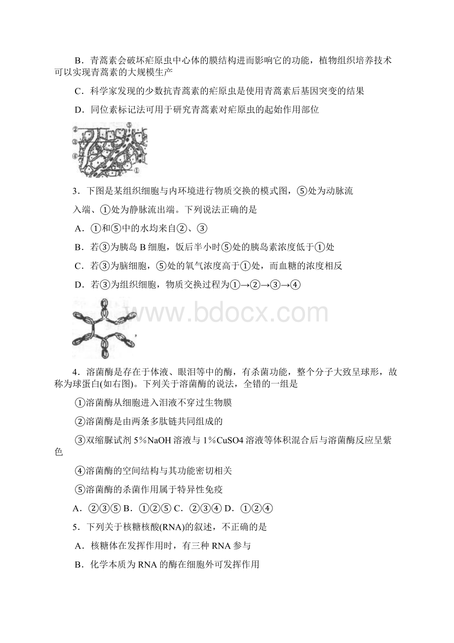 重庆南开中学届高三理综上册月考试题.docx_第2页