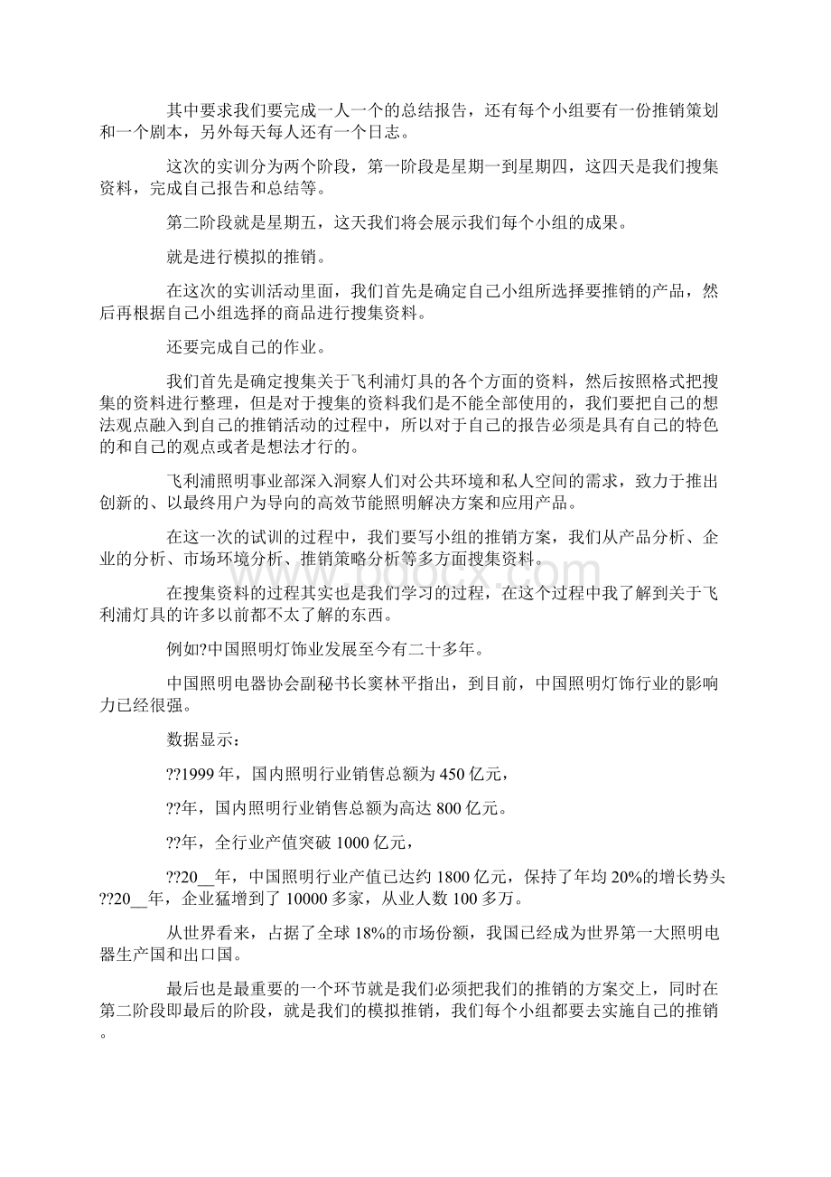 灯具销售实习报告Word格式.docx_第2页