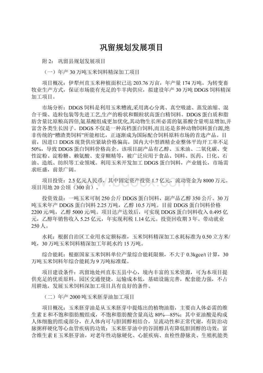 巩留规划发展项目.docx_第1页