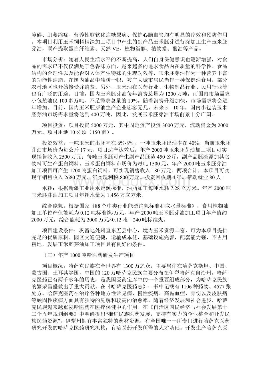 巩留规划发展项目.docx_第2页