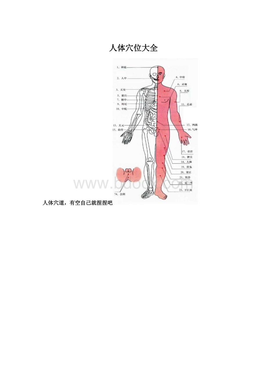 人体穴位大全Word文档格式.docx_第1页