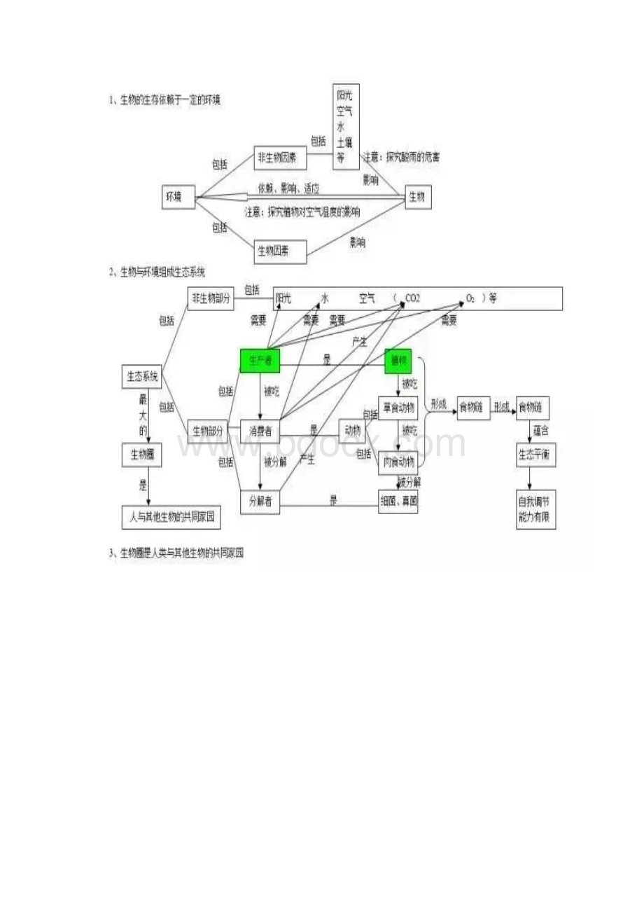 初中生物学科思维导图全汇总最新版Word格式.docx_第2页