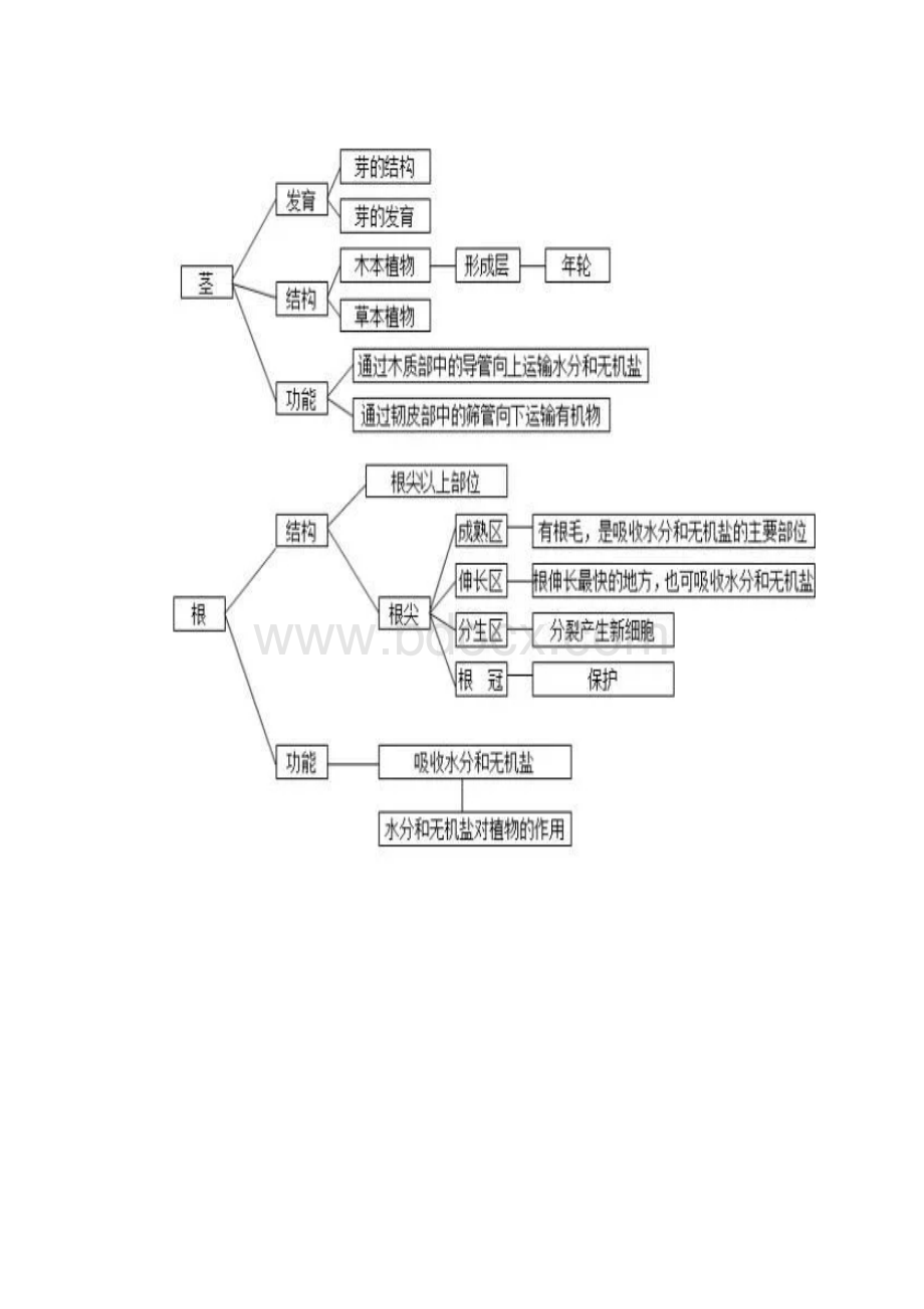 初中生物学科思维导图全汇总最新版Word格式.docx_第3页