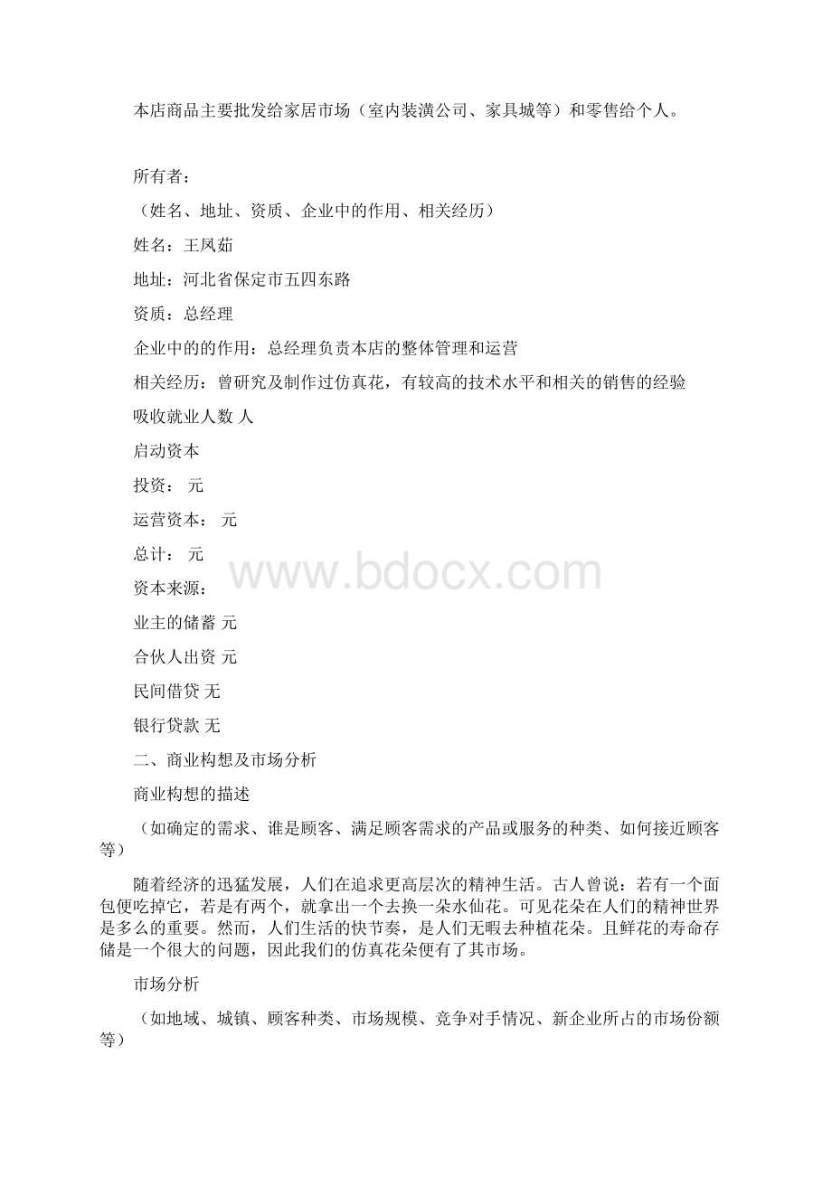 标准商业计划书.docx_第2页