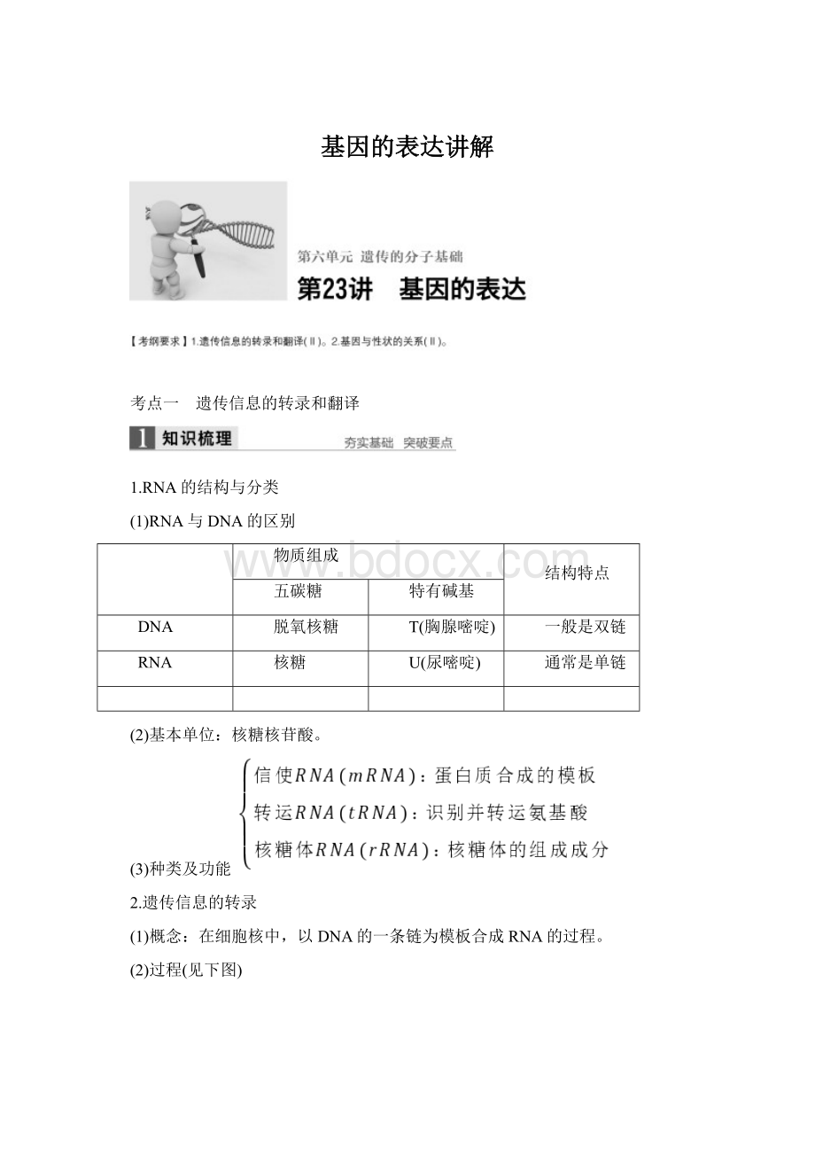 基因的表达讲解.docx_第1页