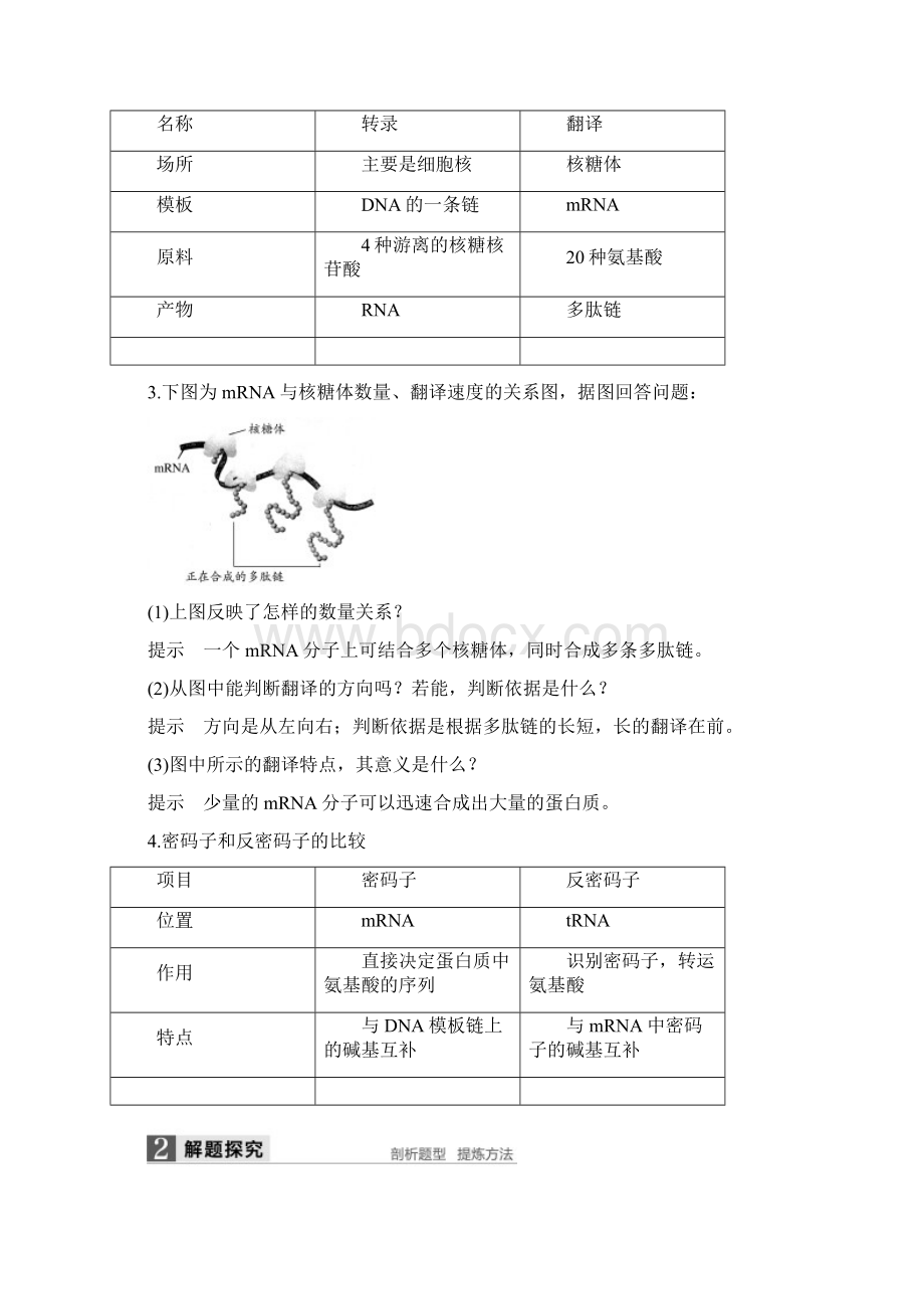 基因的表达讲解Word文档格式.docx_第3页