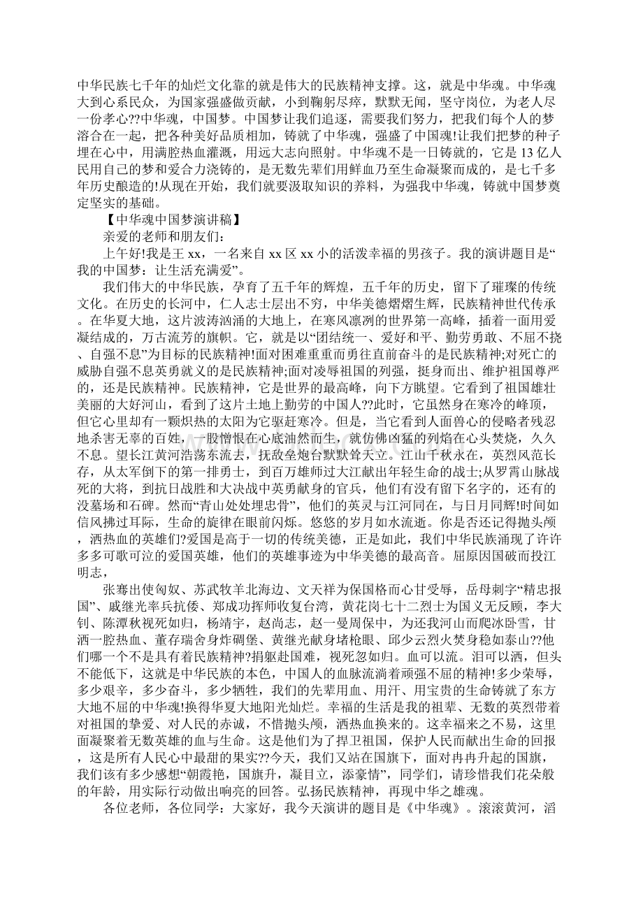 中华魂的教师演讲稿.docx_第2页