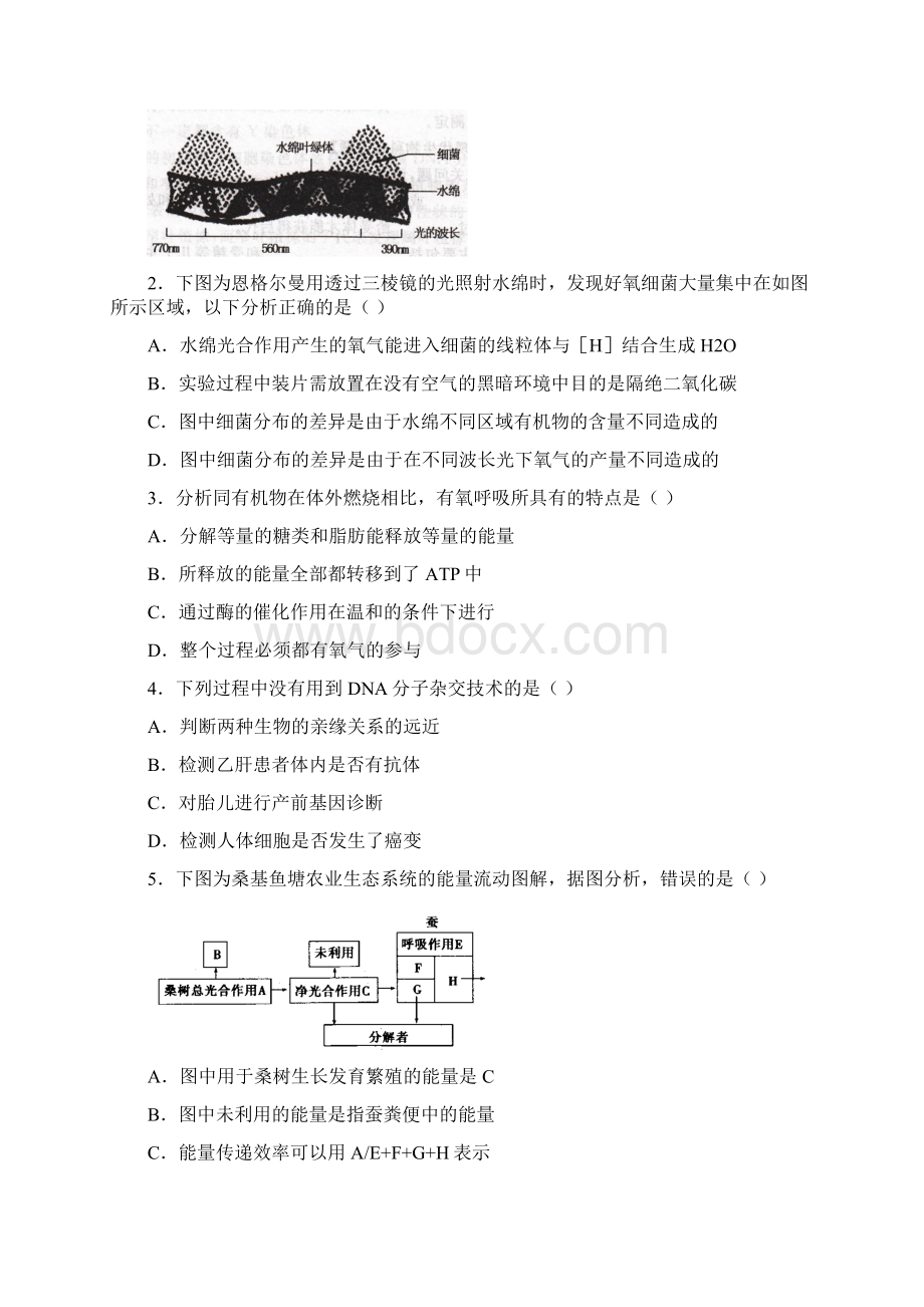 哈六中三模黑龙江省哈尔滨市第六中学届高三下学期第三次模拟考试理科综合试题 Word版无答案.docx_第2页