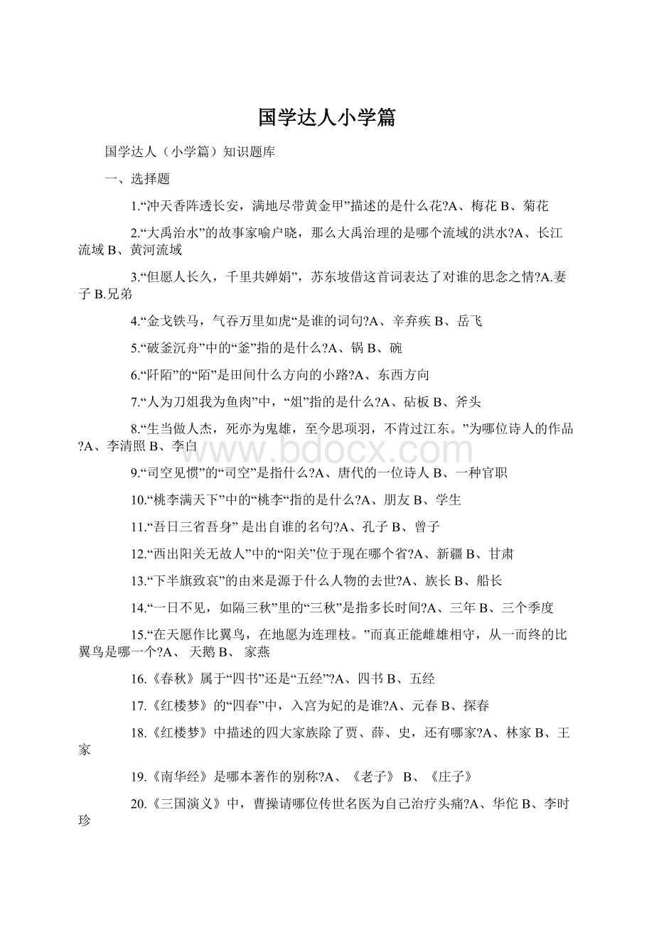 国学达人小学篇Word下载.docx