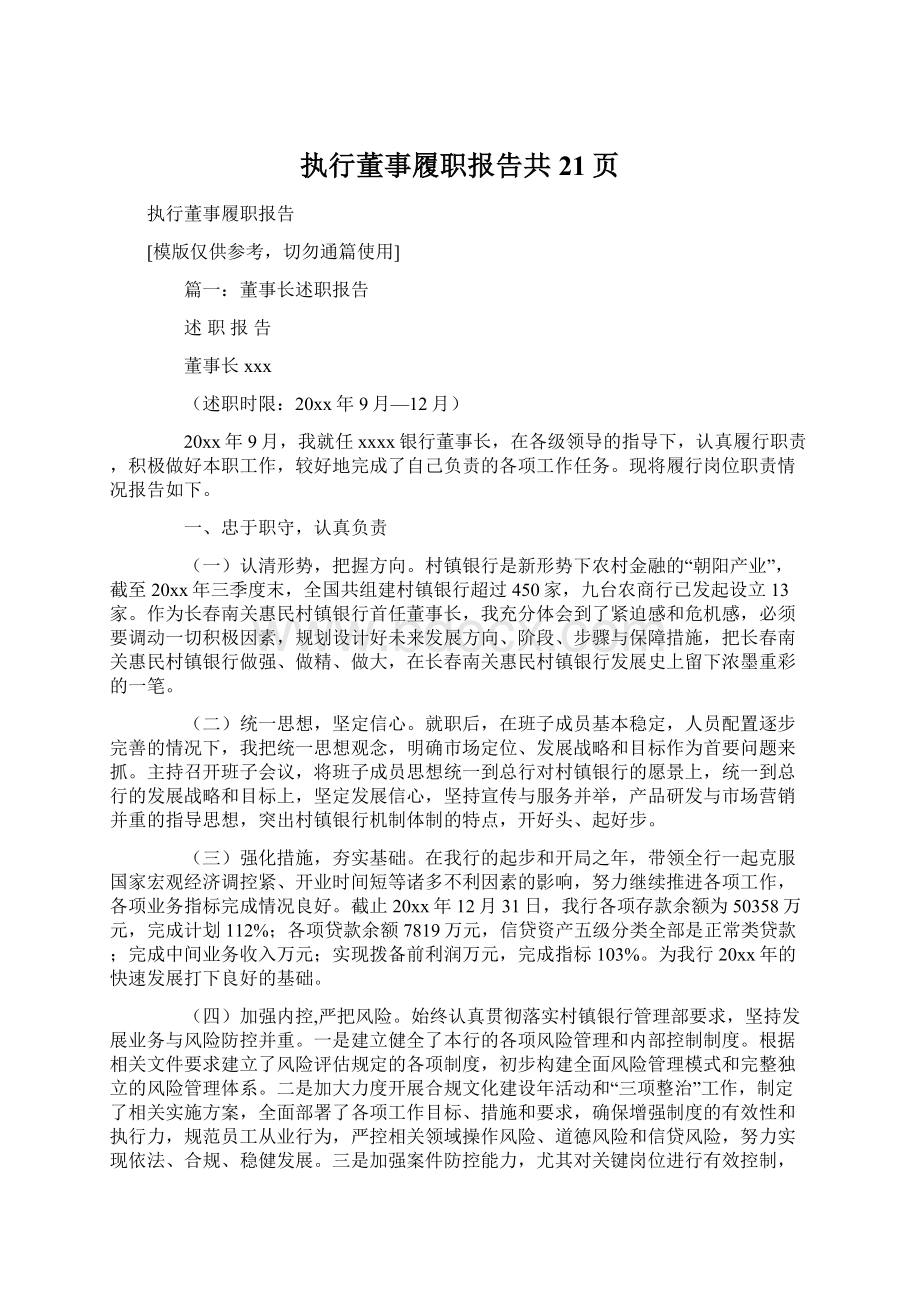 执行董事履职报告共21页.docx_第1页